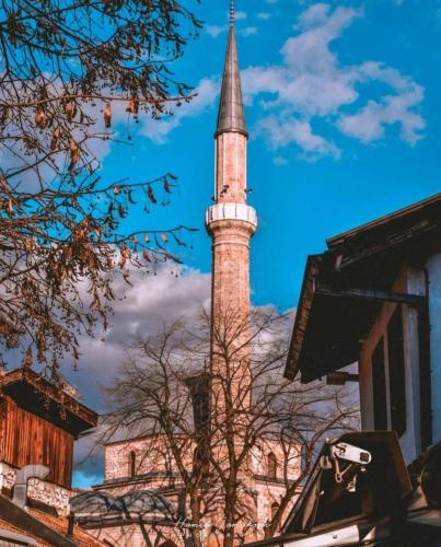 Old Town's Nest - image 12