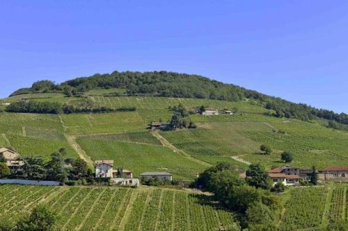 Superbe appartement cosy au coeur du beaujolais