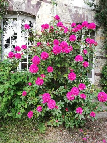 MANOIR DU TERTRE au coeur de la forêt de Brocéliande