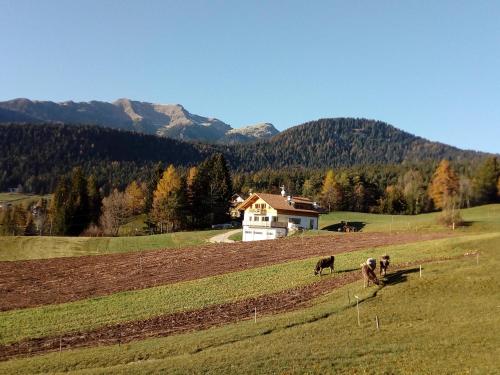 Brugghof Apartement Lärche