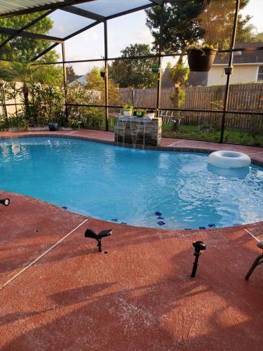 Swimming pool, El SHADDAI in Orlando West