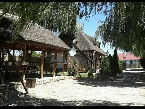 Casa cu flori Murighiol - image 13
