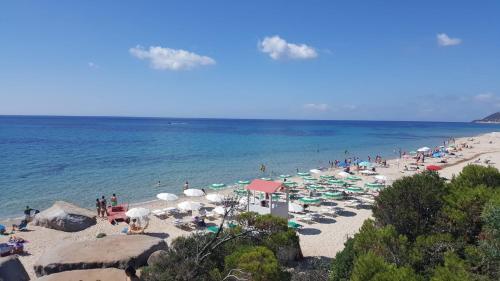 Oleandri Calaverde Sardegna iun P1641 - Santa Margherita di Pula