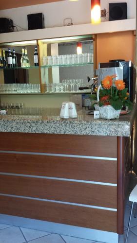 Pub/salon, Hotel Garni Capinera in Garda