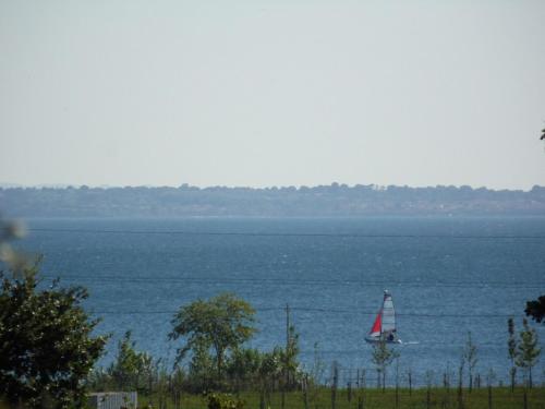  Il Boschetto in Bolsena