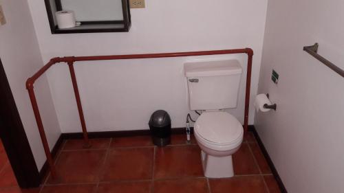 Iguana Libre Iguana Libre