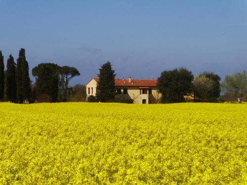 Il Bosco Agriturismo