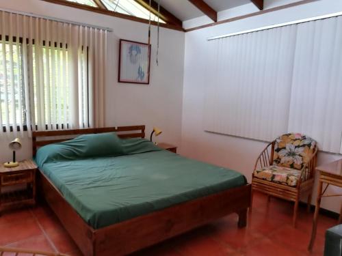 Iguana Libre Iguana Libre