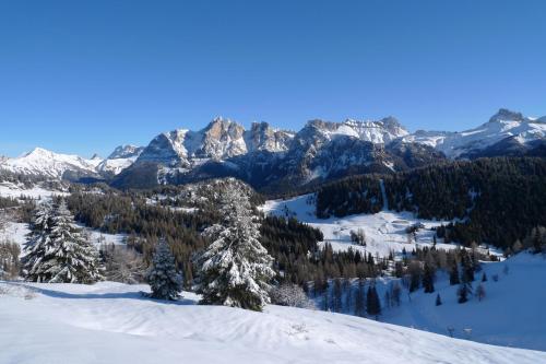 Casa NeveXenne & La Casa di Blek