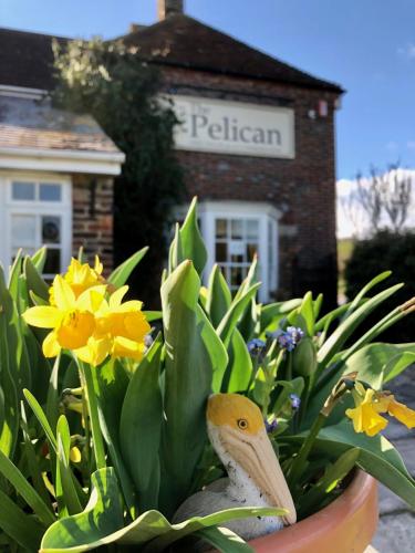 The Pelican Inn