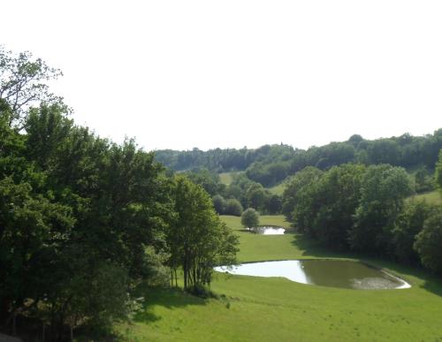 Château de Pleneselve