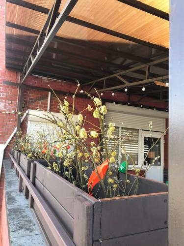 Apartments Terrassa - image 8