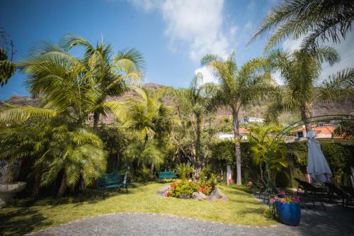 Quinta da Tia Briosa - image 9