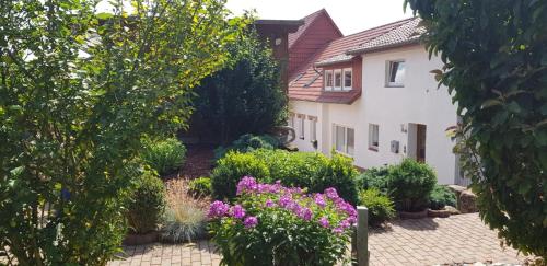 Mein Ferienhaus Seeburg - Apartment