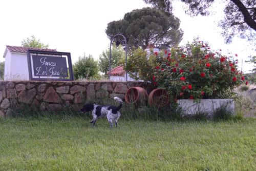 Casa Rural Los Jarales