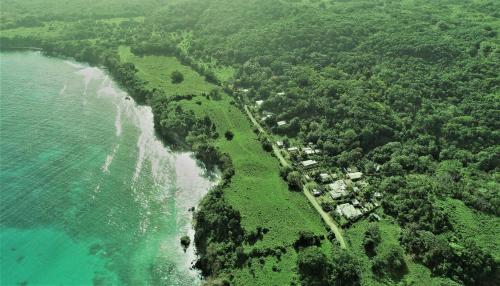 TOGA GUEST HOUSE – Port Antonio