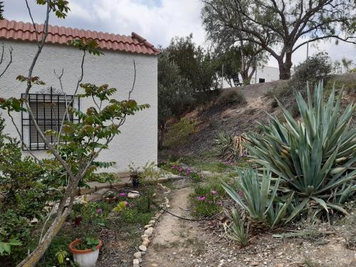 Cortijo Aire del desierto rústico y tranquilo entre el mar y desierto - Alborania