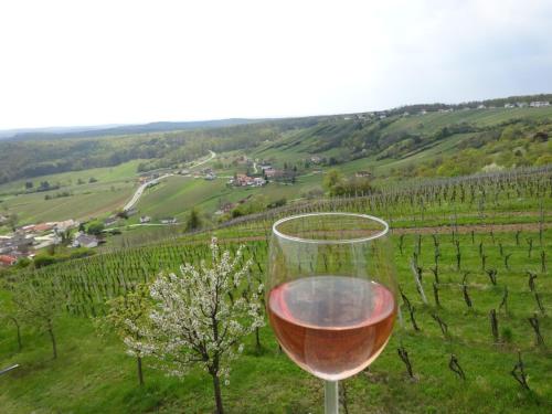 منظر, Kellerstöckl Eisenberg/Pinka Weiner (Kellerstockl Eisenberg/Pinka Weiner) in Eisenberg