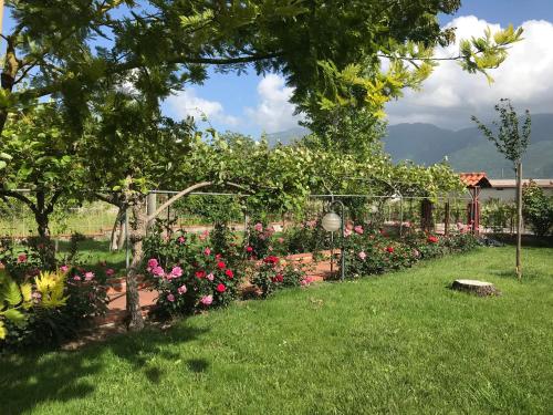 Alma Migrante bed&wine - Stazione di Amorosi