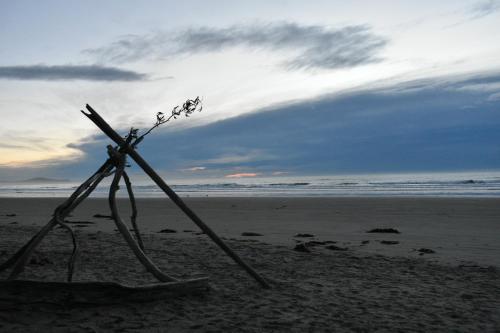 Moeraki Beach Motels in Moeraki