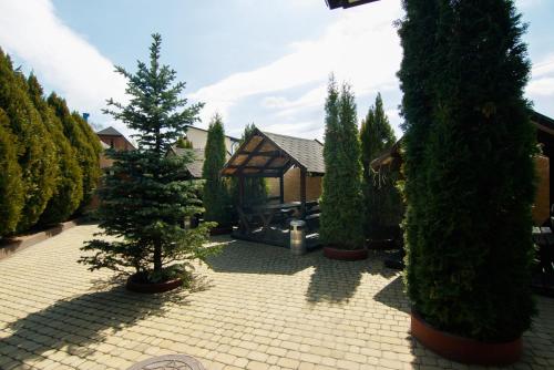 Bonus - image 12