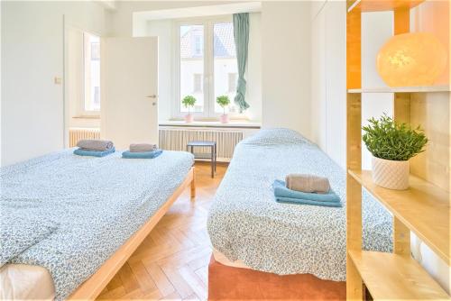 Penth A Apartment in Heart of Antwerp, Anversa (foto 5)