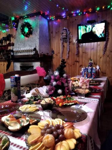 Hotel Dudarik in Verbovets'