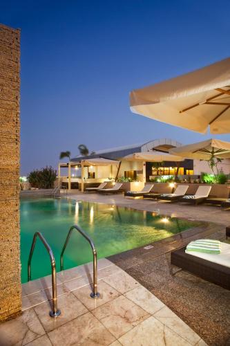 Swimming pool, Novotel Suites Mall Avenue Dubai in Al Barsha