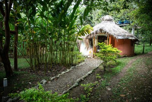 Finca Ecológica El Maco