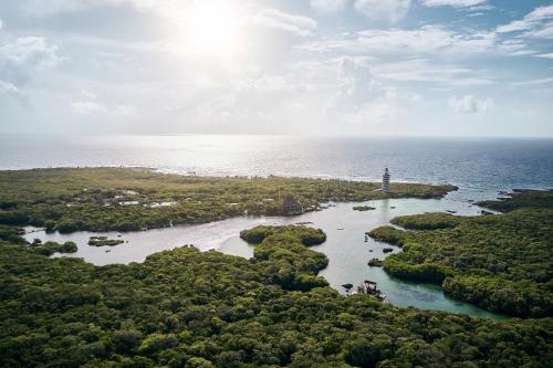 297251525 Hotel Xcaret Arte - All Parks All Fun Inclusive - Adults Only