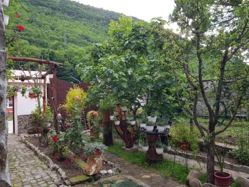 Pensiunea Casa montana