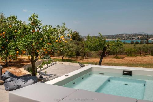 Orange Tree, Porto Cheli (fotografie 8)
