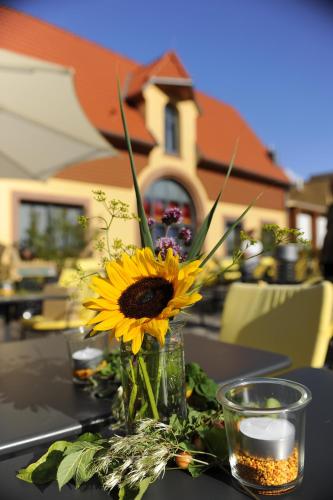 Wohlfühlhotel Alte Rebschule