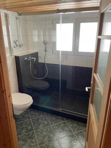 Chesa Prema Ferienwohnung - Apartment - Cavardiras