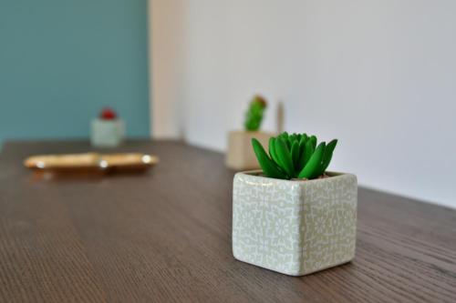 Le 44 - T2 rénové moderne et confortable en centre-ville