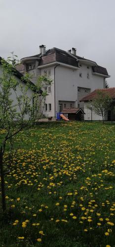 Guesthouse Jelic - image 8