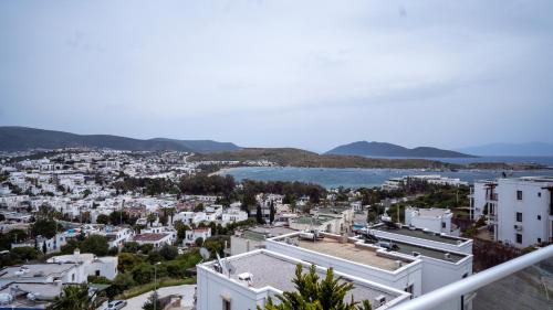 Afytos Bodrum - image 9