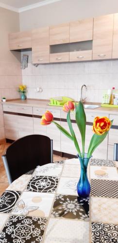 Flora Apartman in Ujvaros