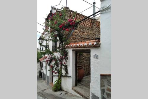 Casa Fuensanta balcón al mar de la Alpujarra