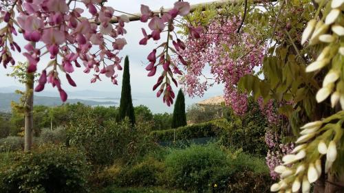  Villa La Moraiola, Pension in Passignano sul Trasimeno