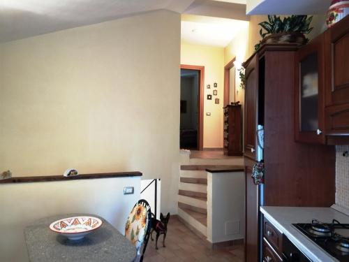 Kitchen, Albergo diffuso Millepapaverirossi Casa Irma in Serravalle Di Chienti