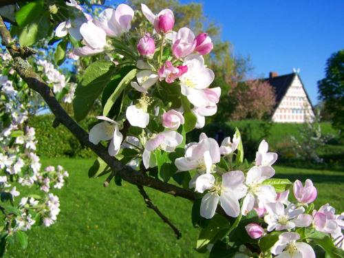 Fewo Lüheblick im Haus Lühegarten