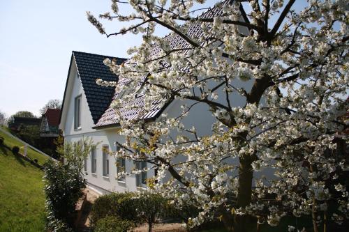 Fewo Elbblick im Haus Lühegarten (Fewo Elbblick im Haus Luhegarten) in 格呂嫩代