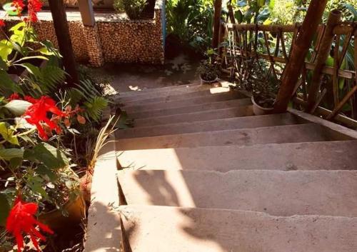 Long Chieu homestay