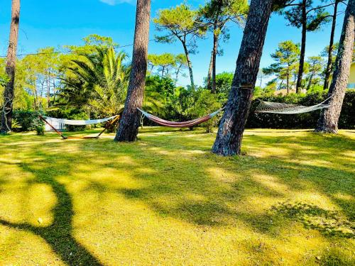 Villa Dune & Océan - Location saisonnière - Labenne