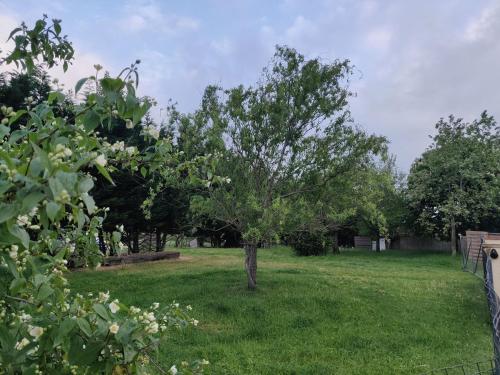 Le Gîte Nature Bien-Etre du Tarn entre Toulouse et Albi & Les Cottages du Tarn