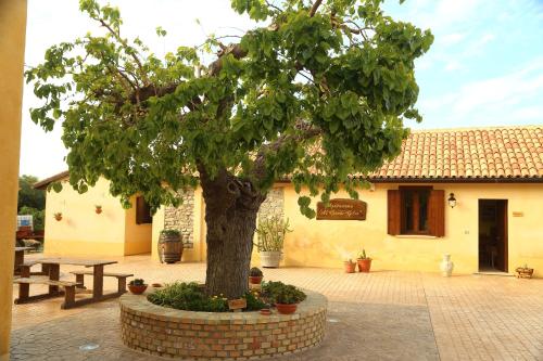 Al Grande Gelso - image 7
