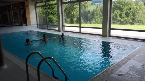 wellness, Wellness apartmány Říčky v Orlických horách (Wellness apartmany Ricky v Orlickych horach) in Říčky