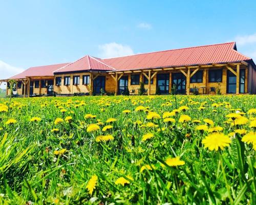  Aranyló Vendégház, Pension in Alsótelekes bei Tomor