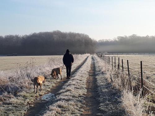 Comfy Holiday Home in Bouconville with Private Pool gîte à louer Bois de Beaulieu